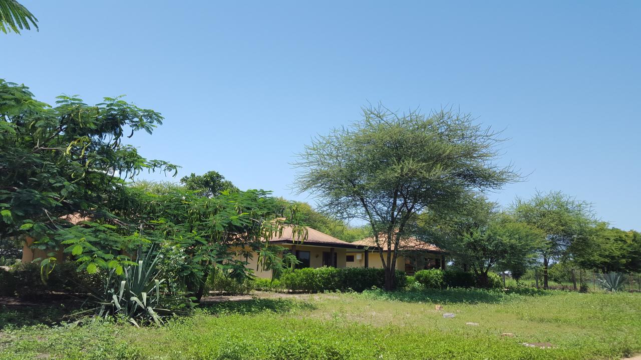 Tan-Swiss Lodge Mikumi Luaran gambar